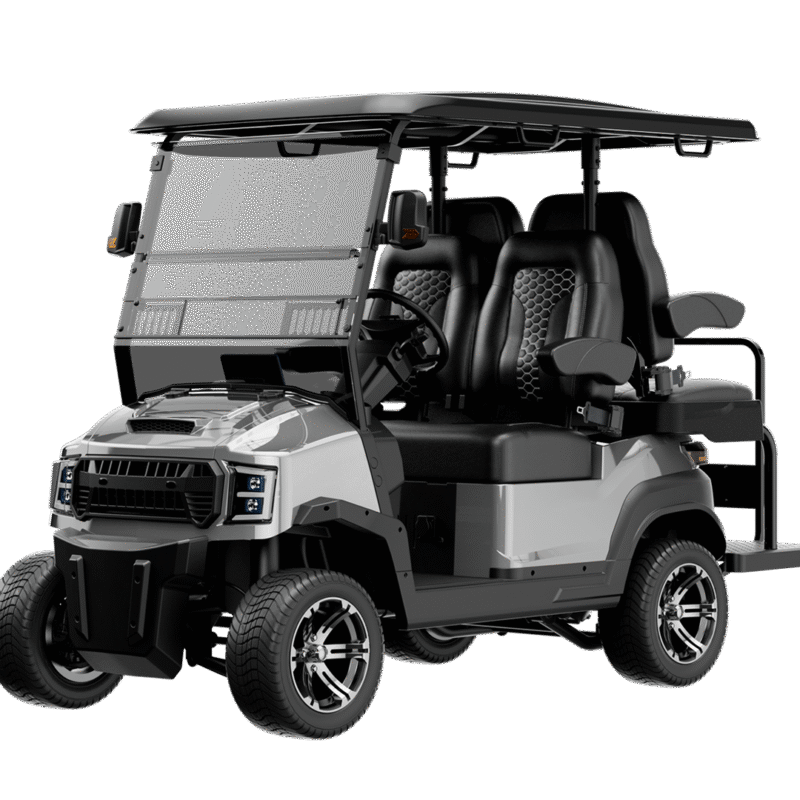 Buzz G2+2 Golf Cart - Silver / Black
