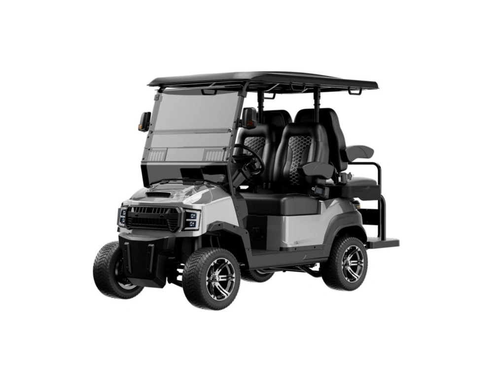 2025 Buzz G2P2 Standard - Mercedes Silver / Black