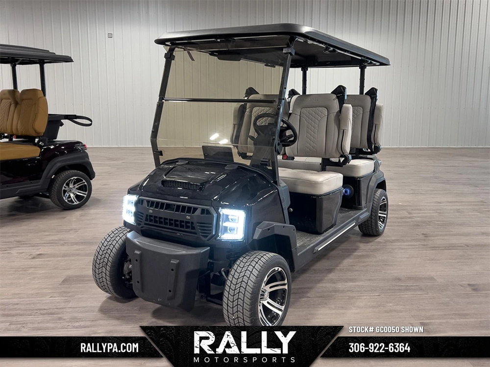 2025 Buzz G4 Standard - Black / Grey