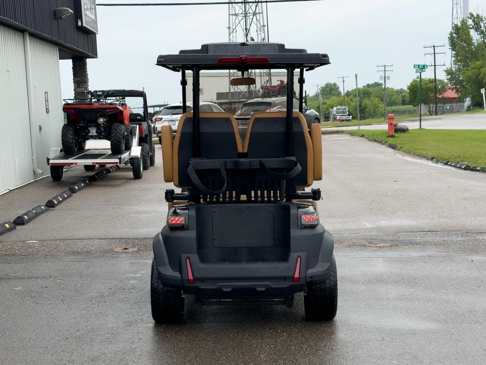 2026 Buzz G2 Standard - Black / Light Brown - Image 5